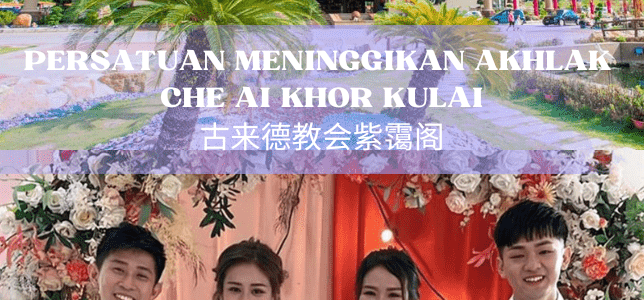 serper image 1016 1781240039