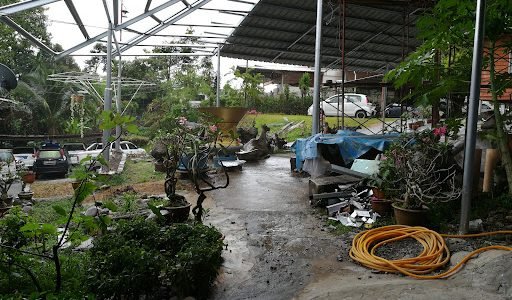 serper image 1106 1781241926