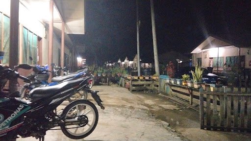 serper image 1159 1781241632