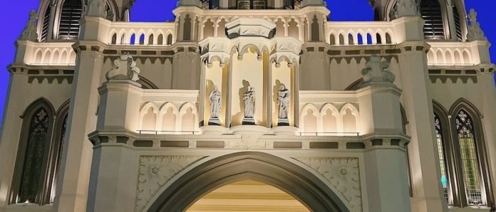 serper image 12 1781238545