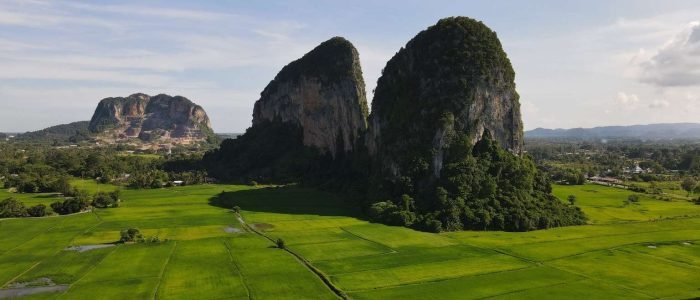 Perlis 1 serper image 130 1781239119