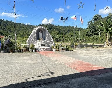 serper image 138 1781239147