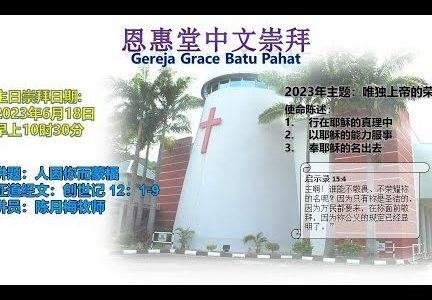 serper image 219 1781239554