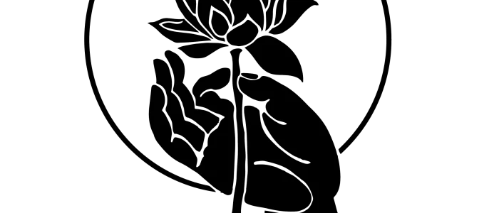 serper image 242 1781239660