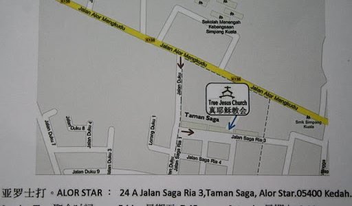 serper image 447 1781240592