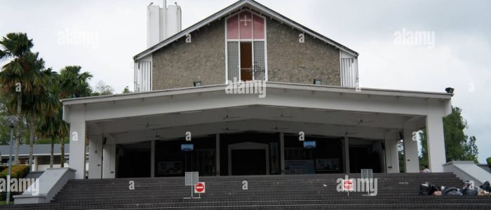 serper image 486 1781240827