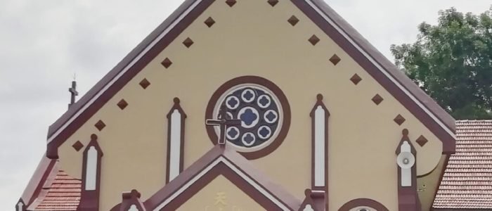 serper image 519 1781240981