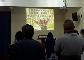 serper image 540 1781241102