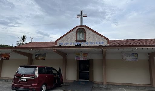 serper image 59 1781238806